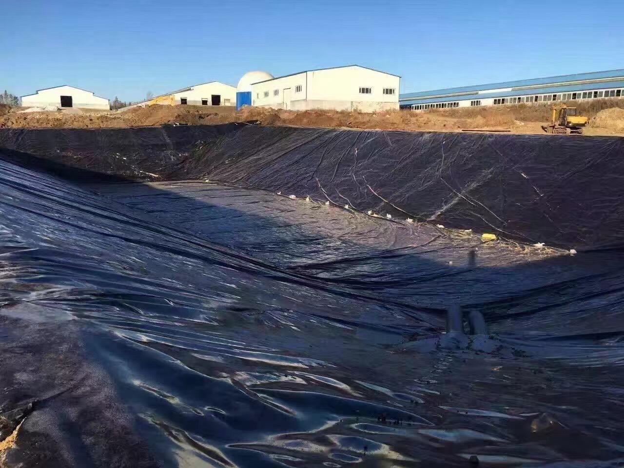 水库铺设土工膜底部垫层15cm细沙的作用?