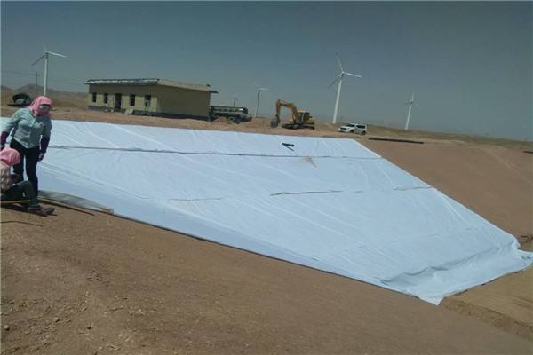 复合土工膜力学特性、整体性及经济性