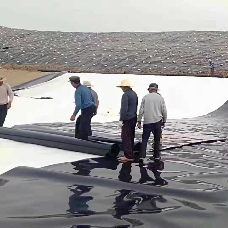 保证渗滤液得到有组织收集、处理的基本前提