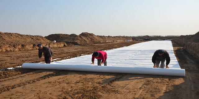 水库设计土工膜情况如何？