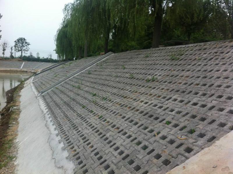 3种常见的坡式护岸技术分别是什么类型？