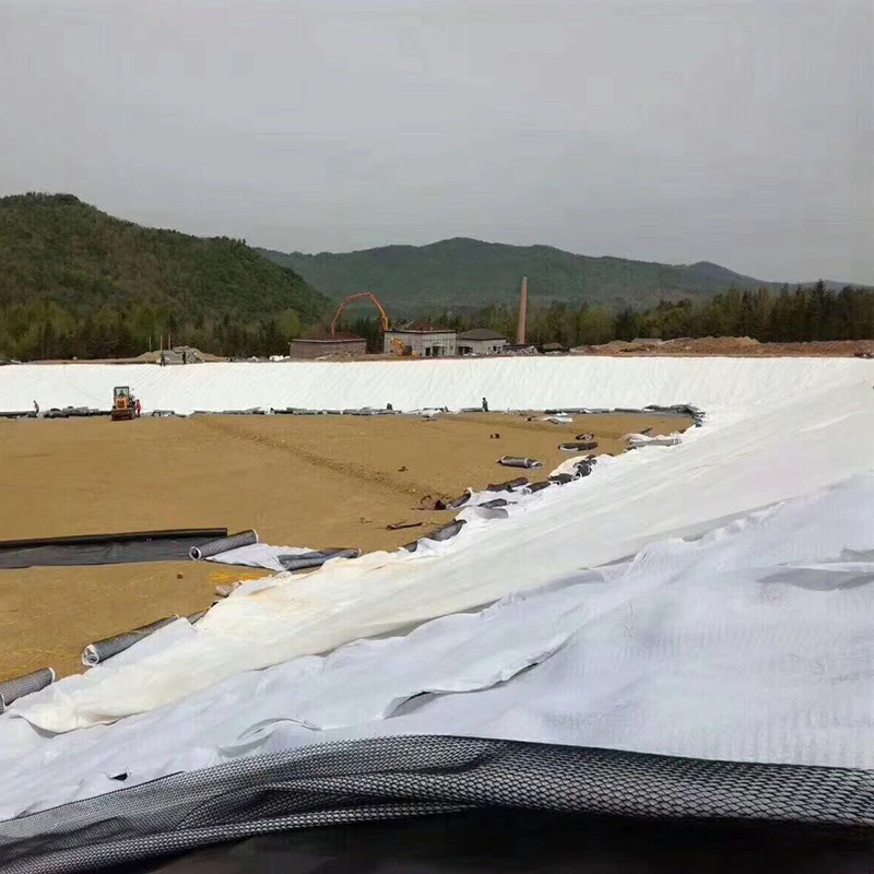 设计容积50万m3的调蓄水池防渗体采用方式？