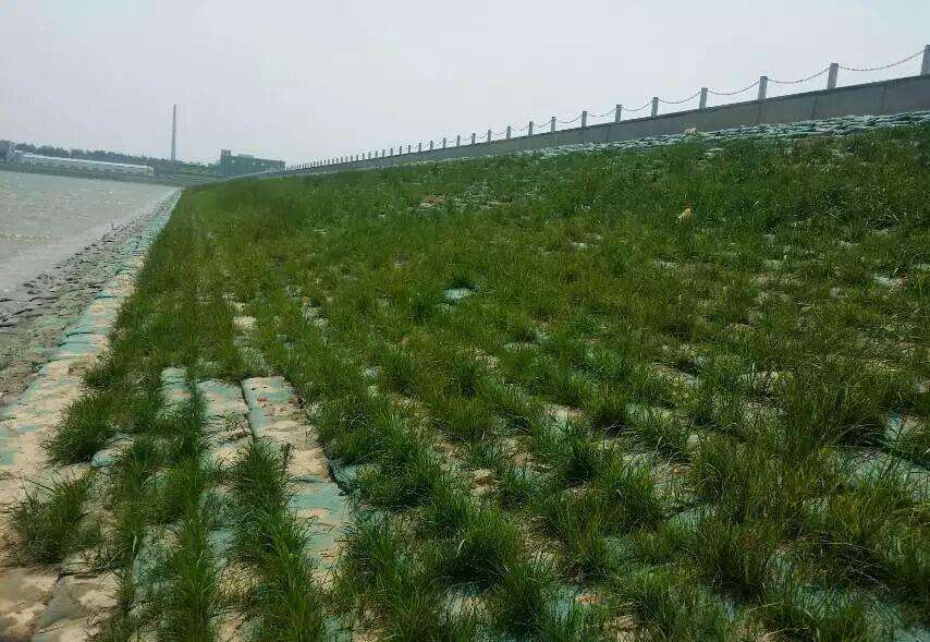 常用的海岛边坡修复技术有哪些？如何修复海岛边坡？